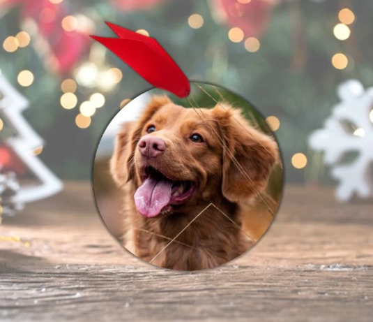 Photo Ornaments