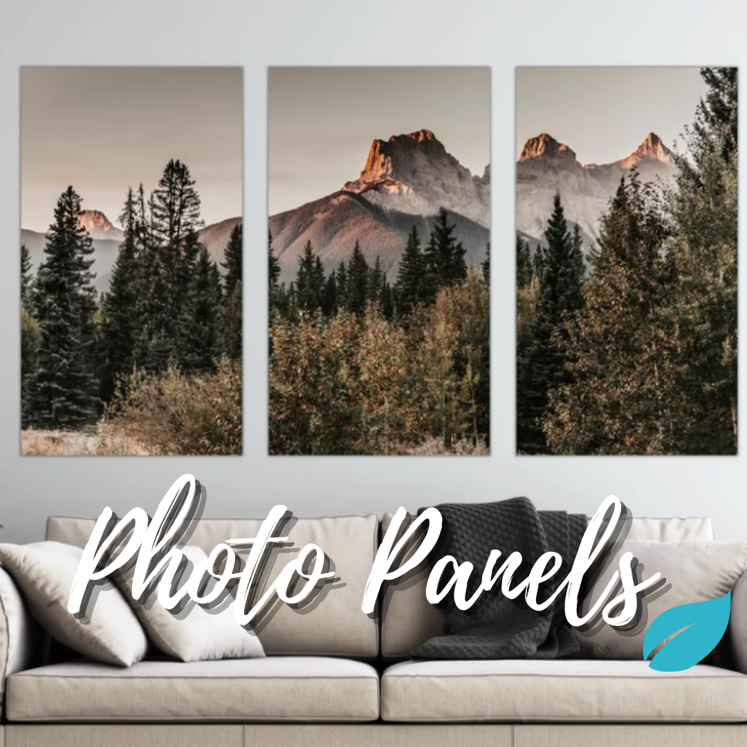 Photo Panel